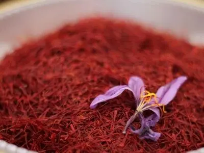 مزیت‌های ملی سازمان جهانی زعفران برای ایران/ حذف واسطه ها و جلوگیری از نوسان قیمت طلای سرخ