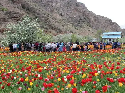 افتتاح هجدهمین جشنواره لاله‌های گچسر استان البرز