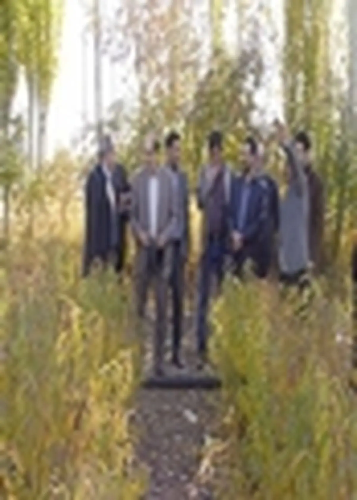 باغداران استفاده از نهال سالم و استاندارد را مورد نظر قرار دهند