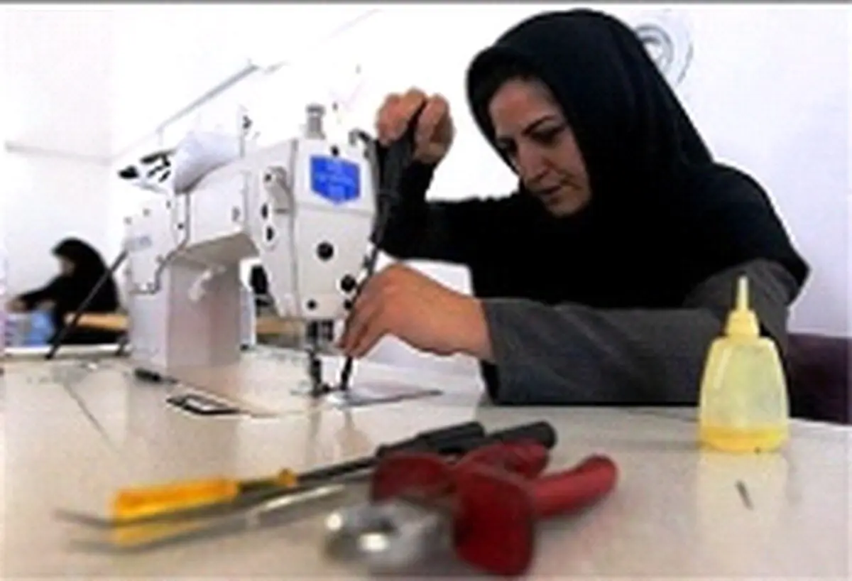 تهیه بانک اطلاعاتی برای بانوان کارآفرین قزوین آغاز شد 