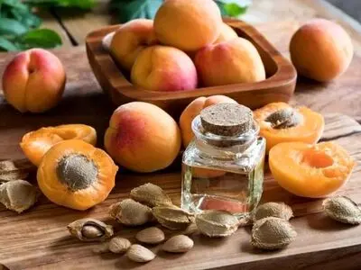 هسته زردآلو را به این خاطر دور نریزید 
