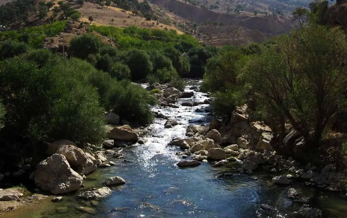  واکنش برخی فعالان زیست محیطی کهگیلویه و بویر احمد به انتقال آب تنگ سرخ به شیراز