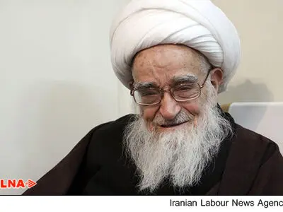 آیت‌الله صافی‌گلپایگانی درگذشت علامه عاملی را تسلیت گفت