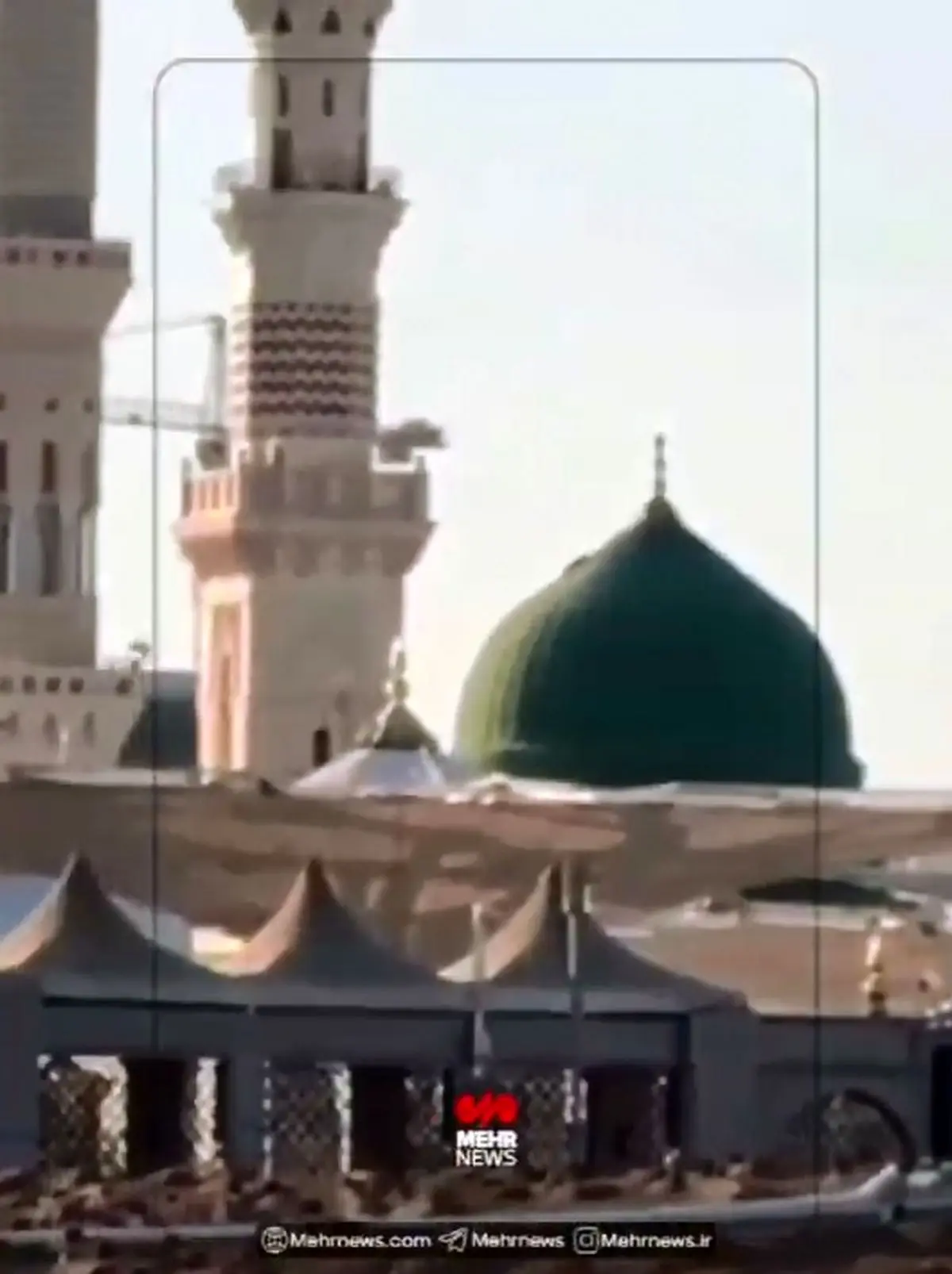 اعضای تیم ملی کشتی آزاد پس از پایان رقابت‌های کشورهای اسلامی، به زیارت ائمه بقیع در مدینه منوره مشرف شدند + فیلم