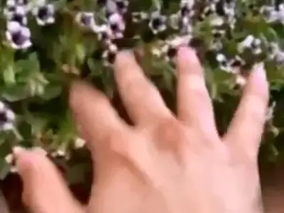 قاتل زیبا بین صخره ها + فیلم
