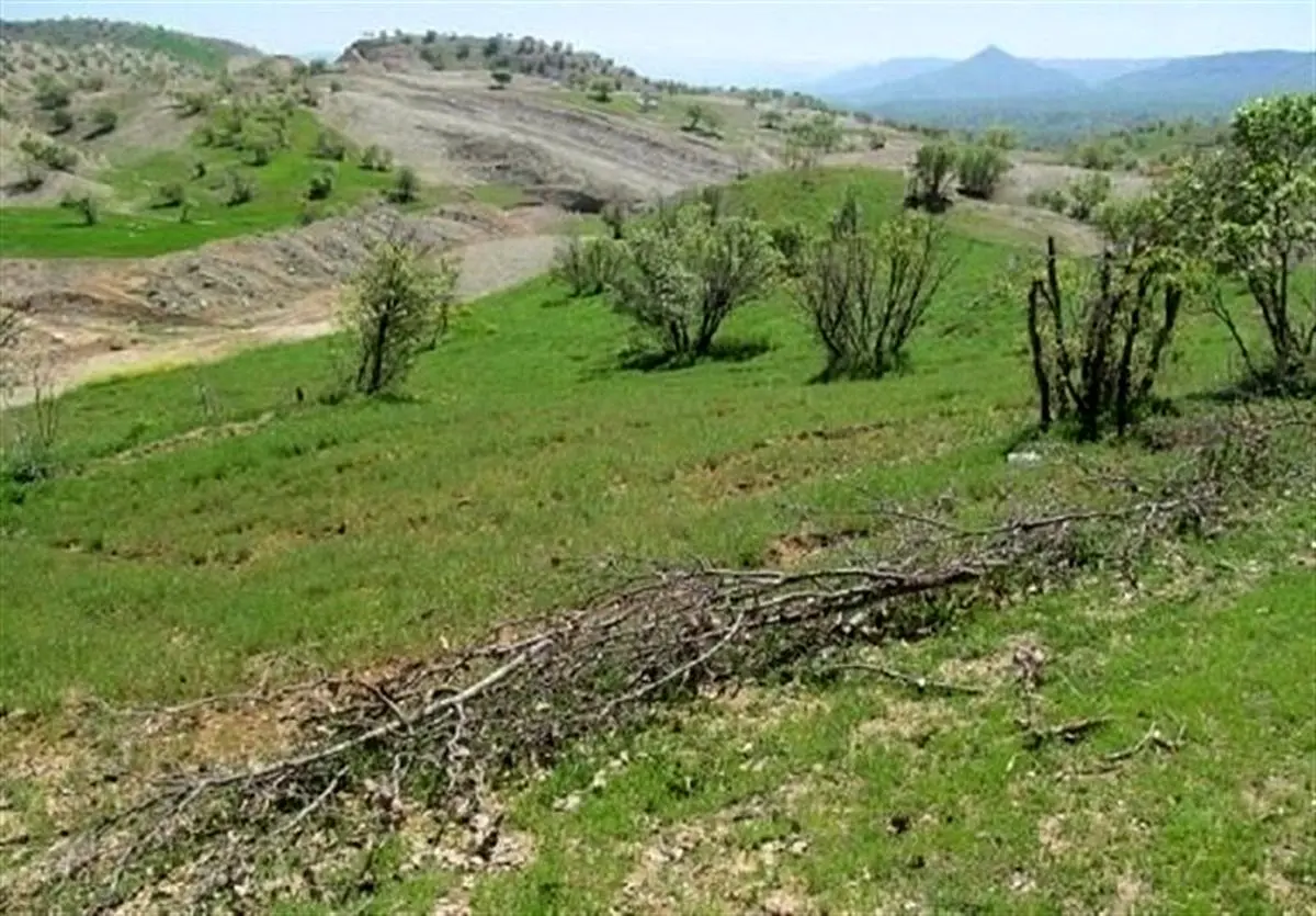 دادگستری گلستان مانع از دست‌اندازی به ۹۰ هزار متر از اراضی دولتی در جنگل توسکستان شد