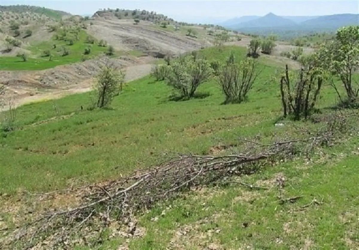 دادگستری گلستان مانع از دست‌اندازی به ۹۰ هزار متر از اراضی دولتی در جنگل توسکستان شد