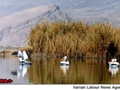 ۶۷ درصد تالاب‌های کشور خشک شده‌اند
