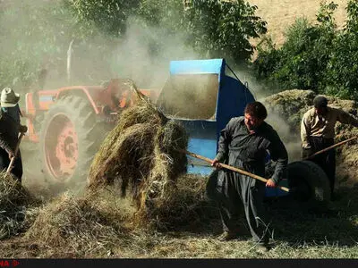 مرگ دلخراش کشاورز سنندجی حین کار با خرمن‌کوب
