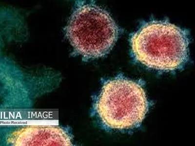 خشکی بینی؛ جدیدترین علامت ابتلا به کرونا