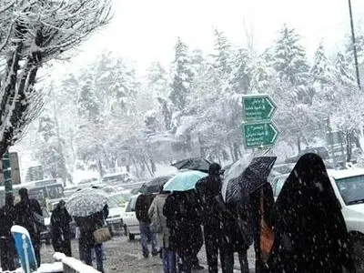 تهران دچار بیماری" Heat island" شده است/ علت پایدار نبودن برف تهران