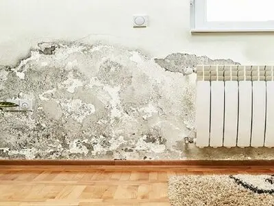 راهکار‌هایی برای رفع رطوبت و نم دیوار خانه 