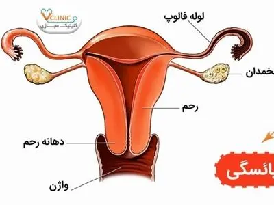 یائسگی چیست؟ و چه زمانی اتفاق می‌افتد؟