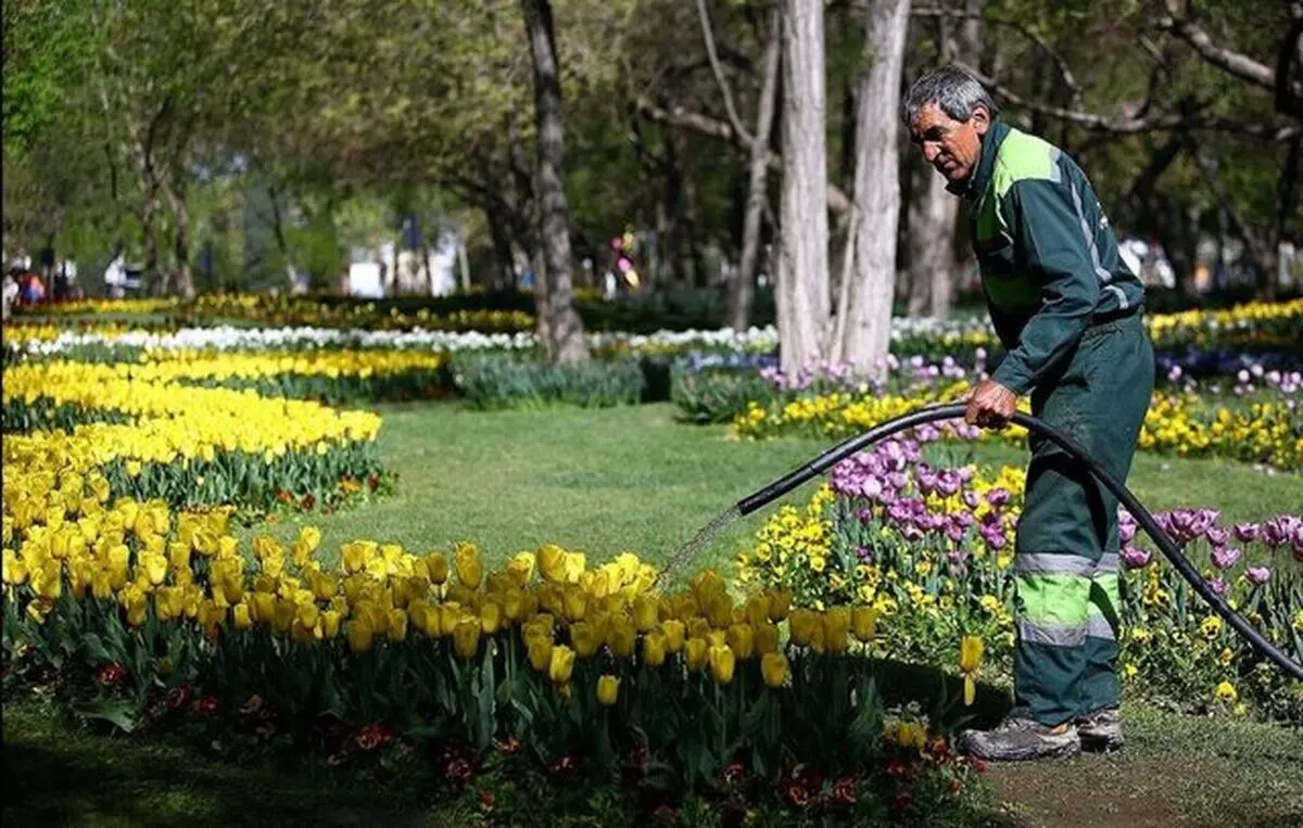 پل طبیعت تهران و کمر‌های خمیده کارگران/ پیمانکاران فقط به دنبال سود اقتصادی هستند