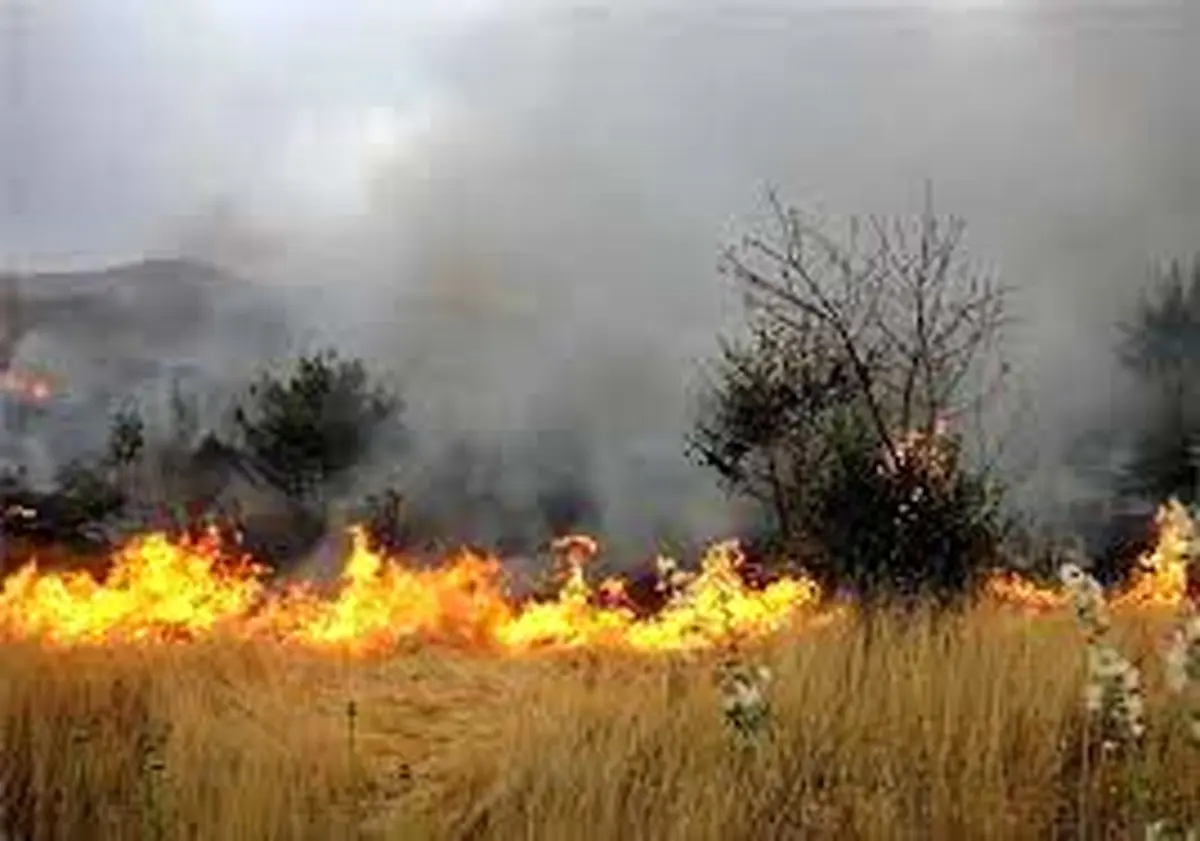 هشدار منابع‌طبیعی استان مرکزی نسبت به وقوع آتش‌سوزی در مراتع