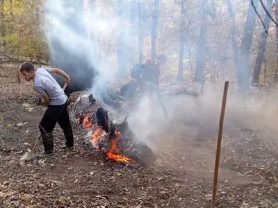 آتش‌سوزی در منطقه دشت شاد پارک ملی گلستان مهار شد/ بی‌توجهی گردشگران علت حادثه