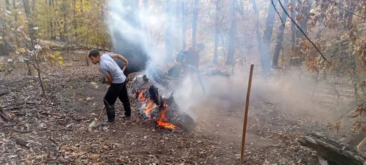 آتش‌سوزی در منطقه دشت شاد پارک ملی گلستان مهار شد/ بی‌توجهی گردشگران علت حادثه