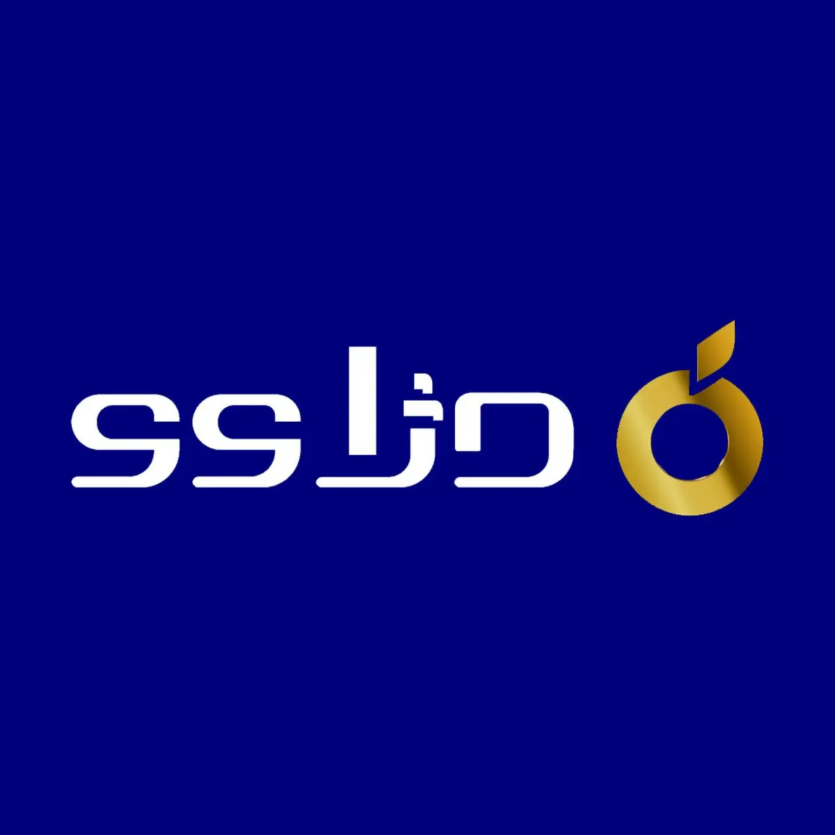 «دژاوو» زبان مشترک مالی کسبوکارها