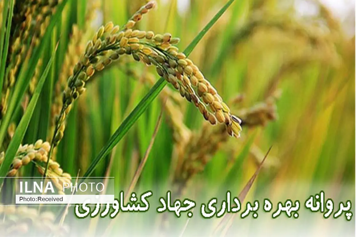 صدور 610 پروانه تولید در بخش کشاورزی قزوین