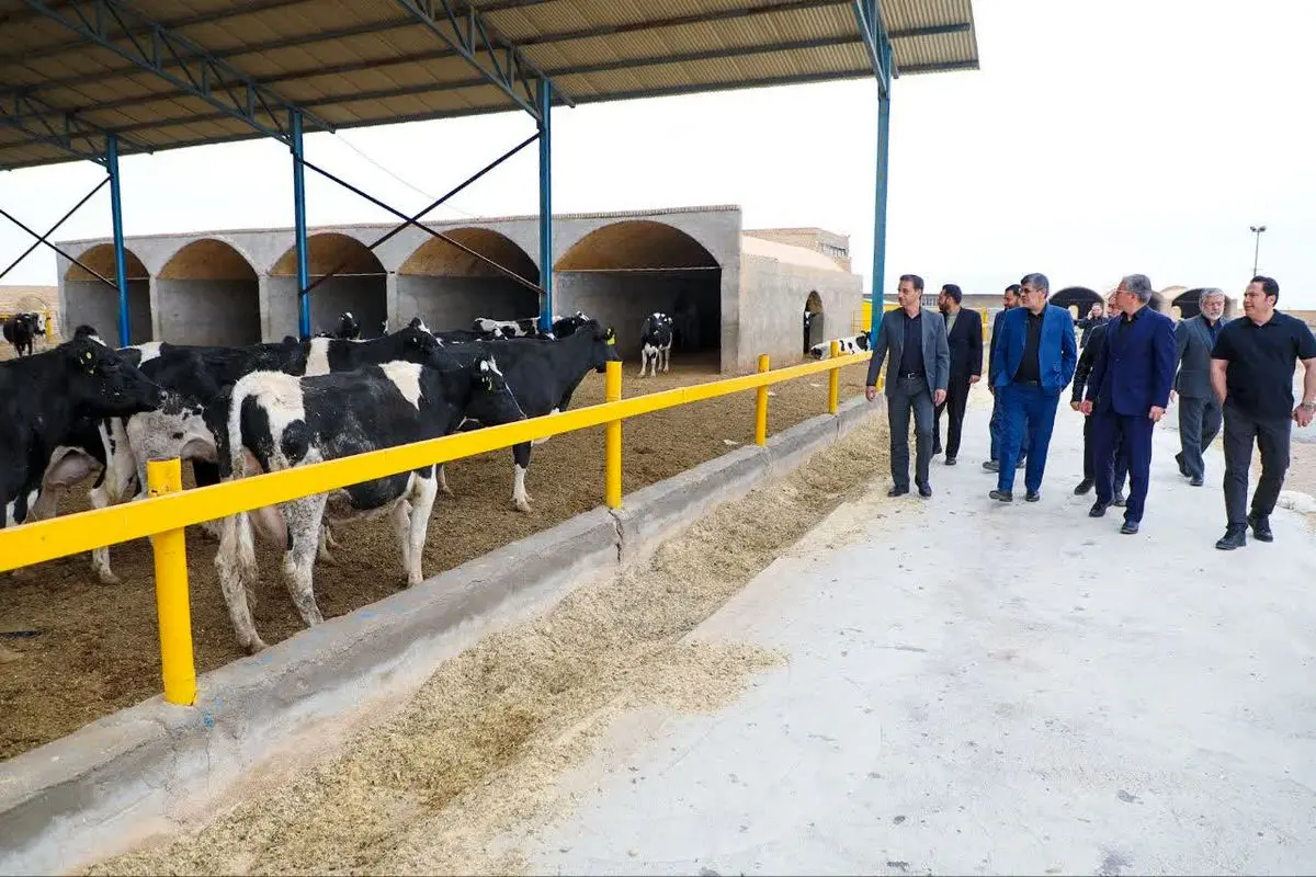 استاندار: در بازار گوشت یزد، هیچ کمبودی برای ماه‌های آتی نداریم