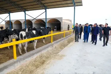 استاندار: در بازار گوشت یزد، هیچ کمبودی برای ماه‌های آتی نداریم