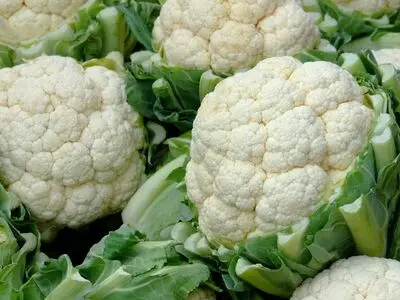 این سبزی مغذی برای کاهش وزن بسیار مفید است