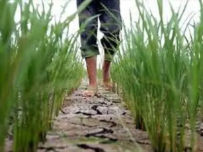 مصرف بیش از 90 درصد آب استان اردبیل در بخش کشاورزی / استان شاهد تنش آبی است