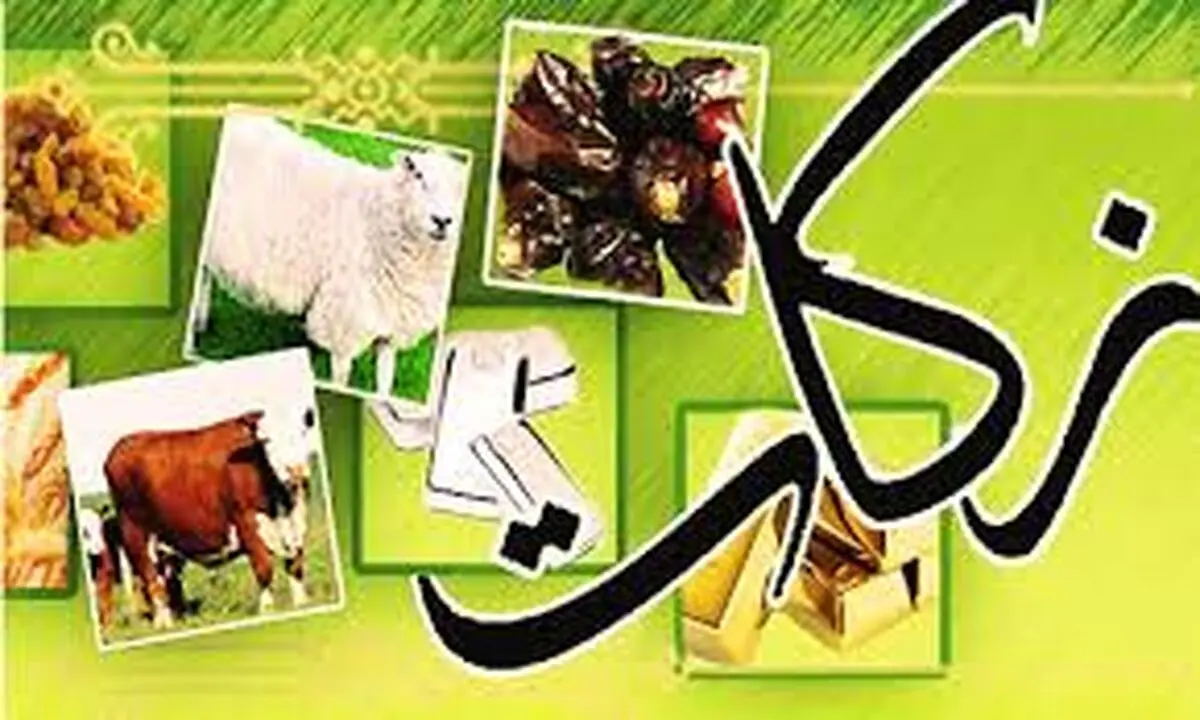 رشد ۵۷ درصدی مشارکت مودیان استان در پرداخت زکات