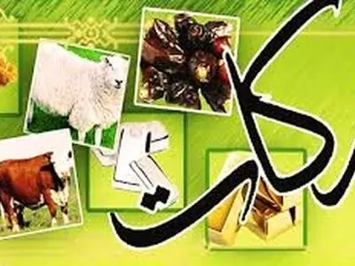 رشد ۵۷ درصدی مشارکت مودیان استان در پرداخت زکات