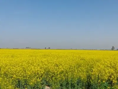 افزایش دما و وزش باد به تناوب تا پنجشنبه در گلستان