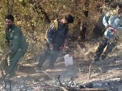 مهار آتش‌سوزی ناشی از سهل‌انگاری مسافران در پارک ملی گلستان 