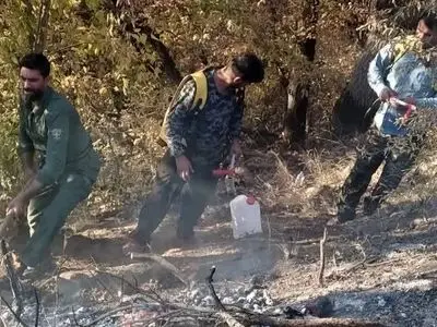 مهار آتش‌سوزی ناشی از سهل‌انگاری مسافران در پارک ملی گلستان 