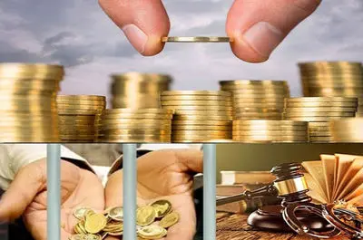 موارد عسر و حرج را به نفع بانوان تصویب کردیم/ بندهایی اضافه کردیم که مزاحمت مرد، مانع صدور حکم طلاق نشود