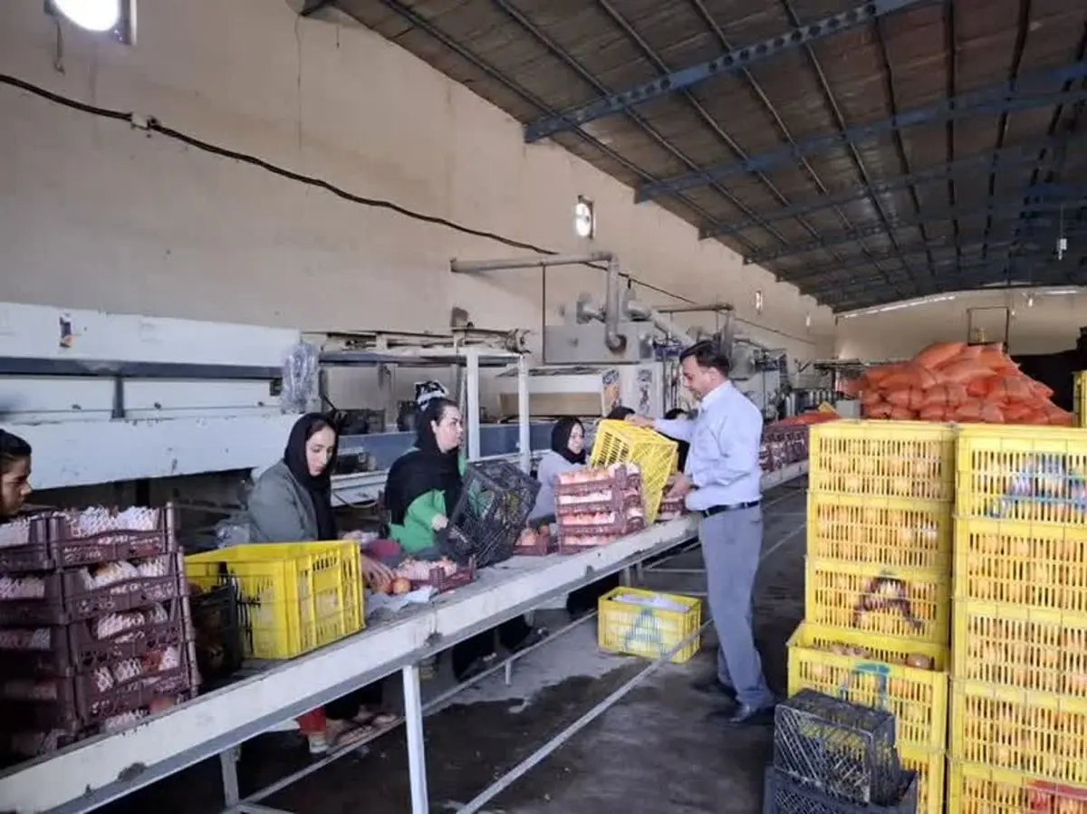 بهره برداری از ۲۲ واحد صنایع تبدیلی فارس