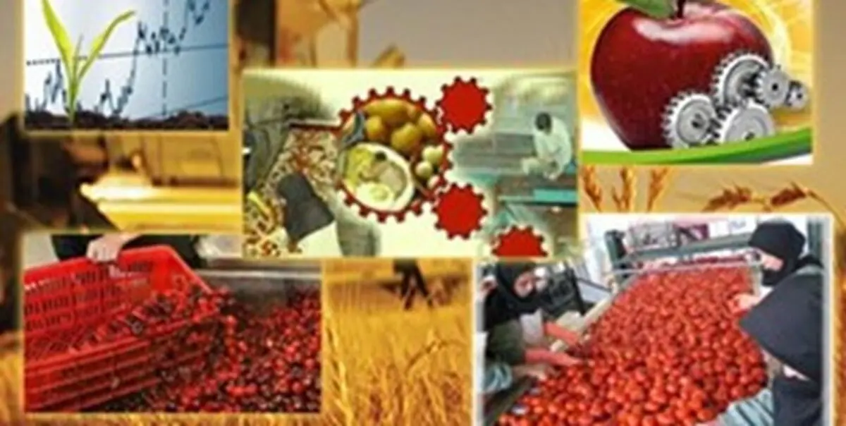 ظرفیت 77 میلیون تنی صنایع تبدیلی آذربایجان‌غربی