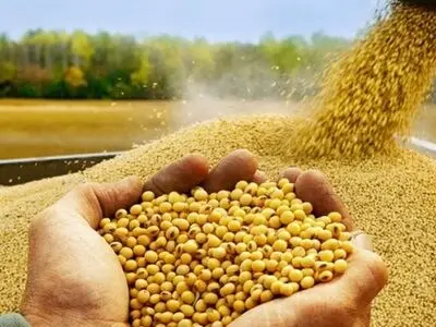 بازار کنجاله سویا آرام گرفت/ عرضه حدود 200 هزار کنجاله توسط کارخانجات روغنکشی
