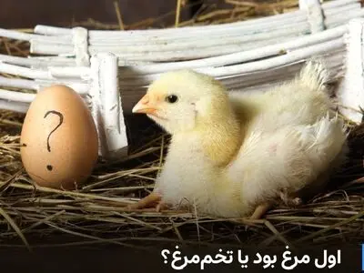معمای «اول مرغ بود یا تخم‌مرغ؟» بالاخره حل شد