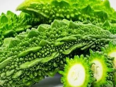 کشت نوع جدید گیاه دارویی در ارومیه/ کاربرد میوه در متعادل سازی انسولین بیماران دیابتی