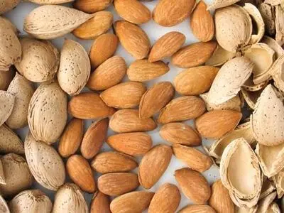 چهارمحال و بختیاری قطب تولید بادام کشور؛ توسعه زنجیره ارزش با جدیت دنبال می‌شود