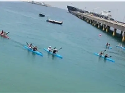 عادل مجللی صاحب مدال برنز شد 