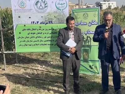در تولید ذرت علوفه‌ای به خودکفایی رسیدیم/به دنبال تولید ذرت پرمحصول با تحمل کم آبی هستیم+فیلم