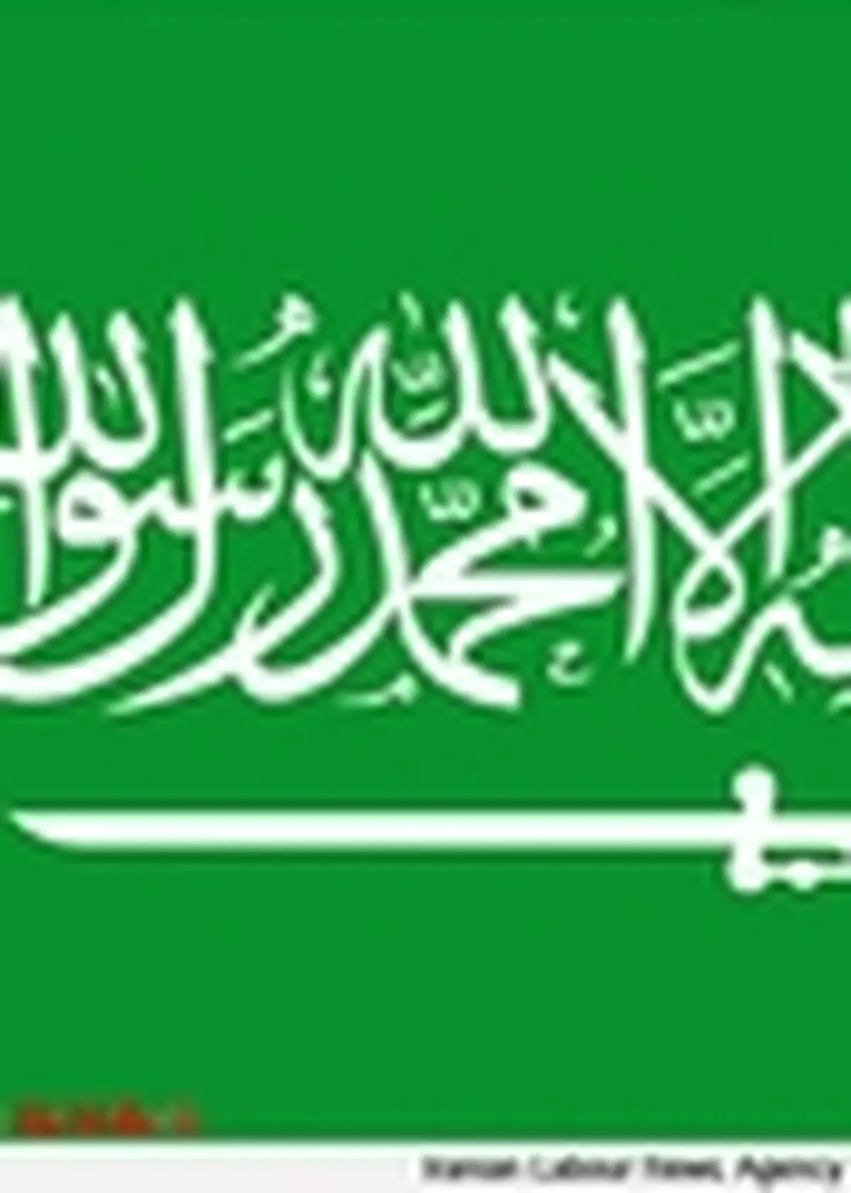 استقبال محتاطانه عربستان سعودی از توافق ژنو