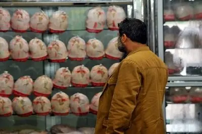 «حداقل دستمزد کارگران» پول ۱.۵ کیلو مرغ است/ سبد معیشت به ۱۰۰ میلیون تومان رسید