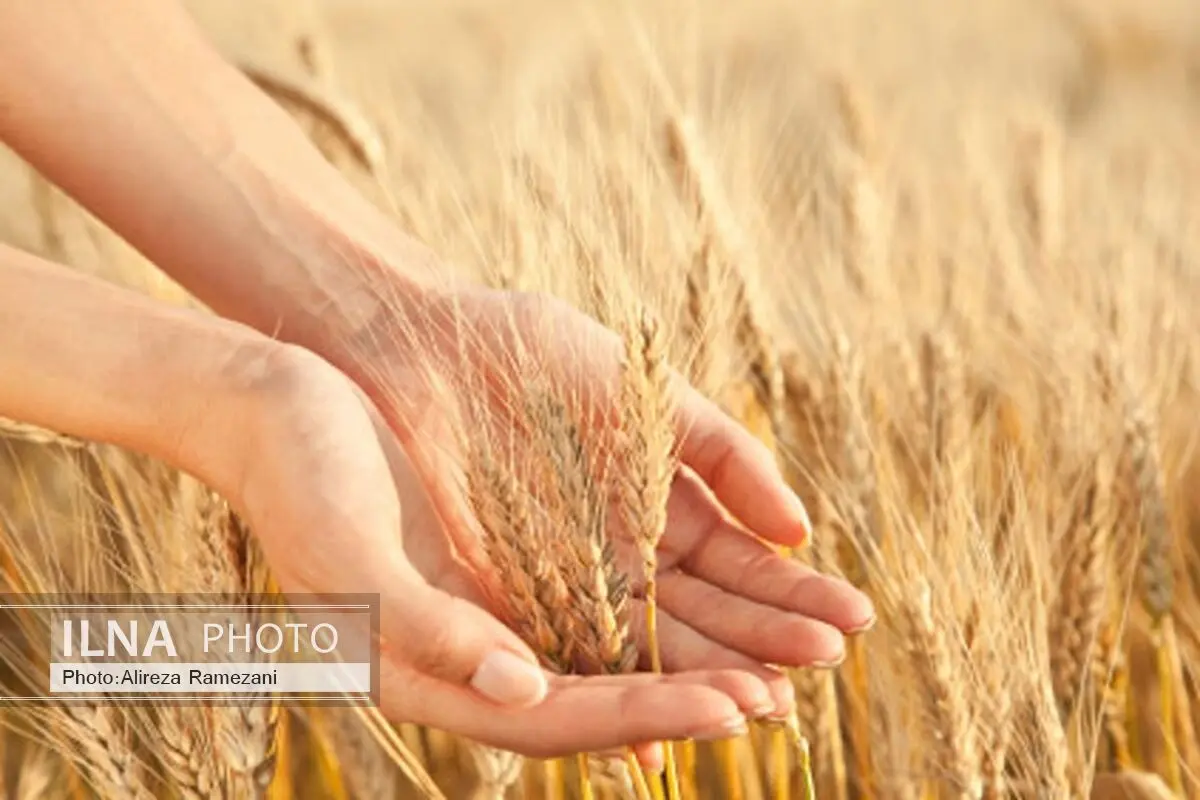 تعاونی‌های کشاورزی آماده حضور در بورس کالا باشند