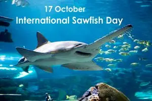 ۱۷ اکتبر روز جهانی اره‌ ماهی است