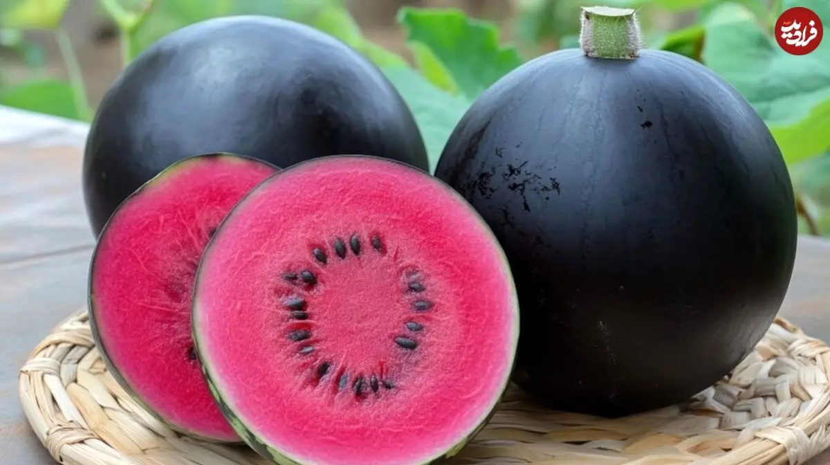 گرانترین میوههای جهان را بشناسید