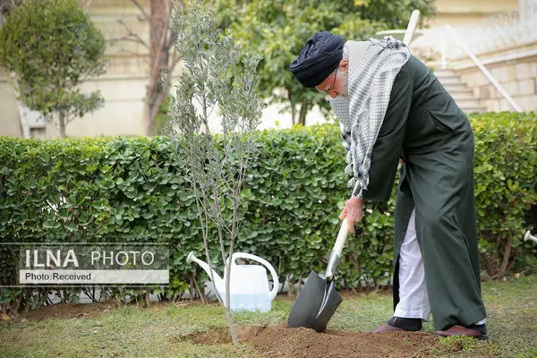 کاشت نهال در روز درختکاری توسط مقام معظم رهبری