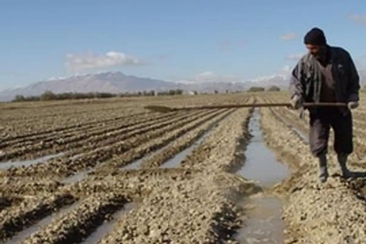 نهاده‌های مورد نیاز کشت پائیزه تامین و حمل شد