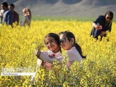 بازدید ۹۱ هزار گردشگر از نقاط مختلف تربت‌حیدریه 