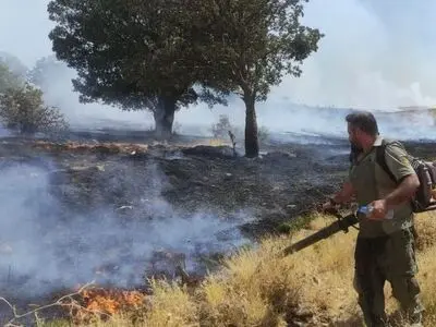 آتش سوزی مراتع جنگلی بخش گواور گیلانغرب را فرا گرفت